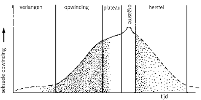 seksuele_responscyclus